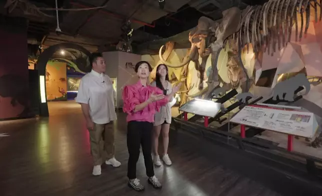 自然科學博物館有恐龍化石睇，鎮館之寶「梅杜莎角龍」全世界只有三個咋。