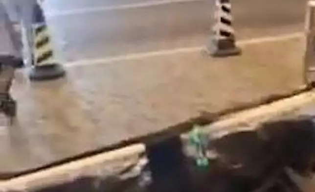 影片截圖