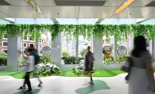 城市中穿越森林長廊！