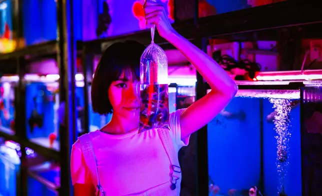 例如享負盛名的旺角金魚街。