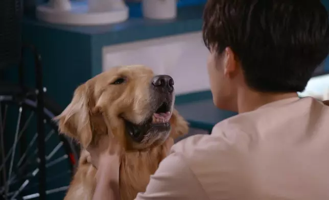 阿仁同冬甩好似惺惺相惜咁。