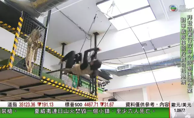 她竟然即席表演後空翻！