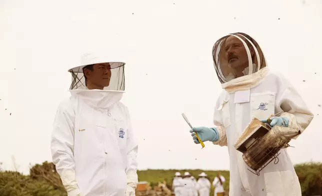 當地專業養蜂人在旁協助。