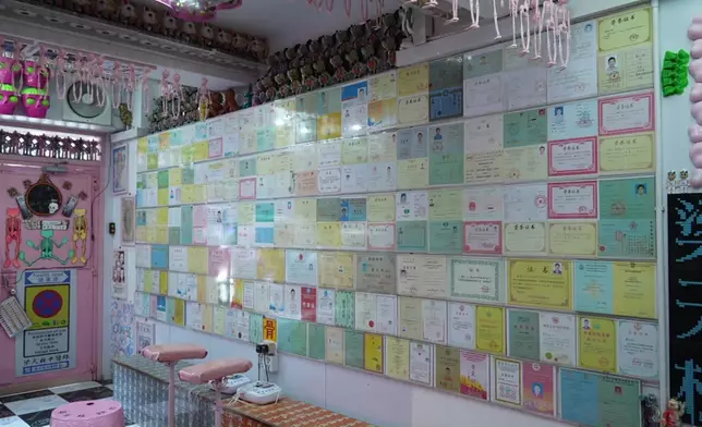 呢幅證書牆係咪好壯觀呢？