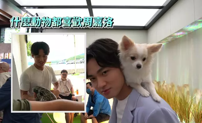 嘉洛孭住Kumo一齊跳舞，好可愛。