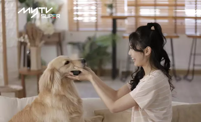 與曾參加《超級毛特兒大賽》的金毛尋回犬Silly上演對手戲。