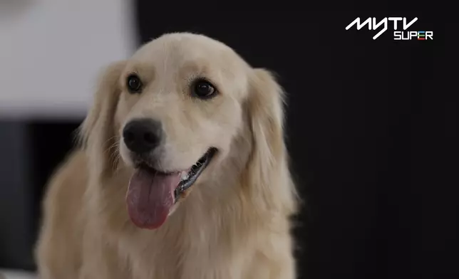 Silly一到現場旋即得到大家的歡心。