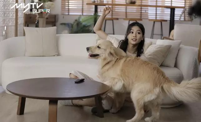 是郭柏妍出道以來首度與寵物結緣。