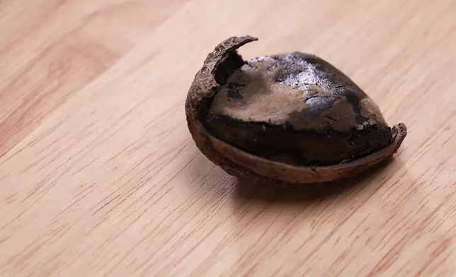 淨係呢粒有老抽香味嘅黑果，已經夠晒特別。