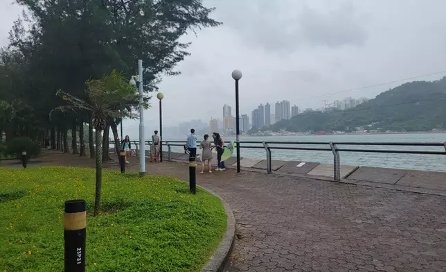 杏花邨海旁有不少市民追風拍照。(巴士的報記者攝)