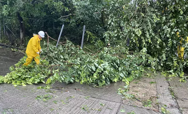 風暴過後，中電人員協助清理路面的塌樹，盡快趕往受影響地方進行復電工作。