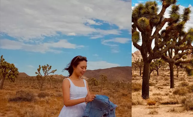 近日去了美國旅行。