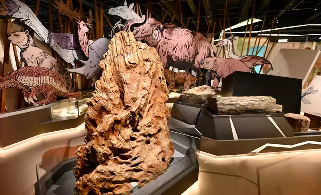 香港科學館古生物展廳「滅絕．新生」展覽展出珍貴動植物化石 政府新聞處圖片