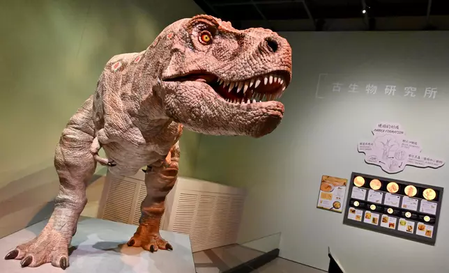 香港科學館古生物展廳「滅絕．新生」展覽展出珍貴動植物化石 政府新聞處圖片