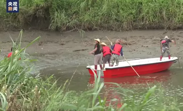茂名市繼續追捕出逃的鱷魚。(央視影片截圖)