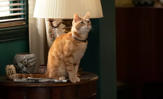 《Marvel隊長2》劇照