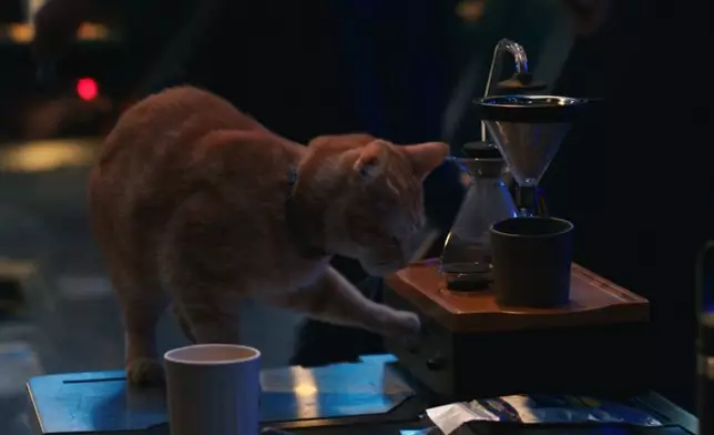 《Marvel隊長2》劇照