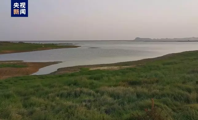 央視新聞官網圖片