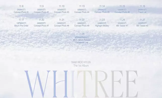 適合冬天聽的南優賢首張正規專輯《WHITREE》（南優賢Twitter圖片）