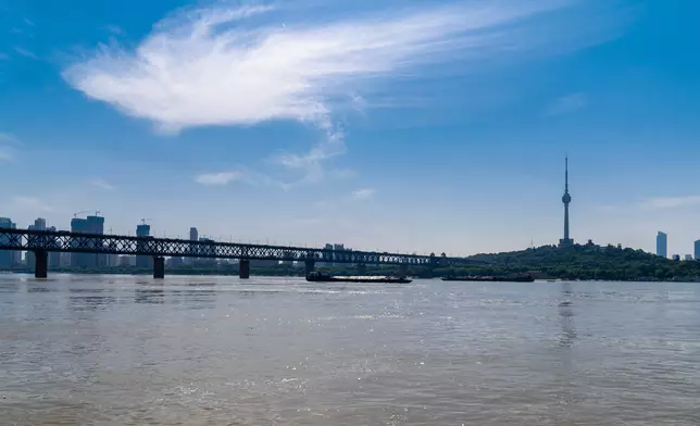 Unsplash 資料圖片