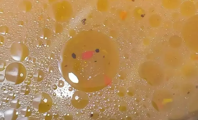 小雞浮油。FB圖片