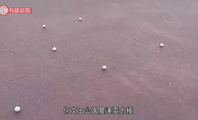 何文田公園一名晨運女子懷疑被氣槍射中，現場遺下數枚BB彈。有線新聞影片截圖
