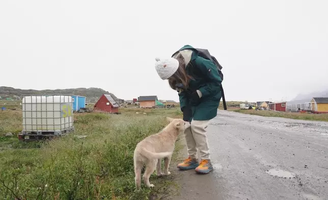 Christy與土生土長的格陵蘭狗近距離接觸。