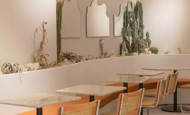 Coast Coffee店內外擺放著不同品種的植物裝飾，營造出綠洲般的舒適空間，讓客人享受片刻放鬆悠然。