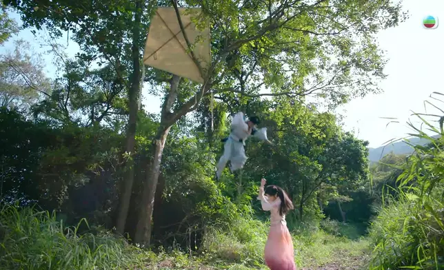 呢幕「從天而降」場口，Danny真係由樹上跳落嚟架，當然做足安全措施啦。