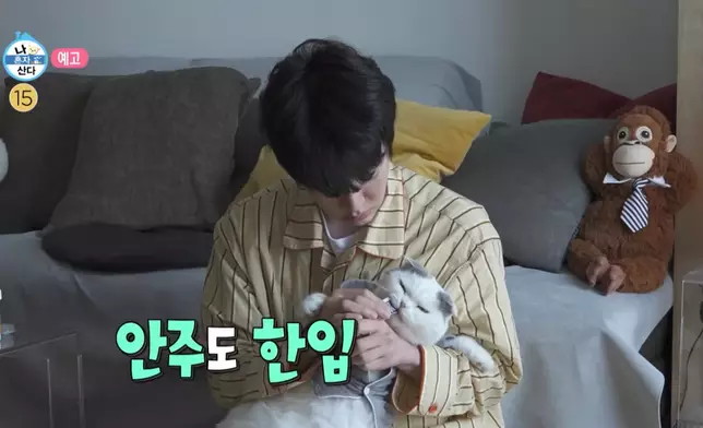 安宰賢的愛貓「伴酒菜」（影片截圖）