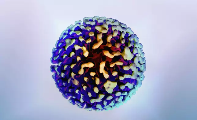 肝炎病毒。 美國國家過敏和傳染病研究所圖片