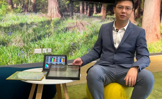 科大綜合系統與設計學部助理教授向暢穎教授 (巴士的報記者攝)