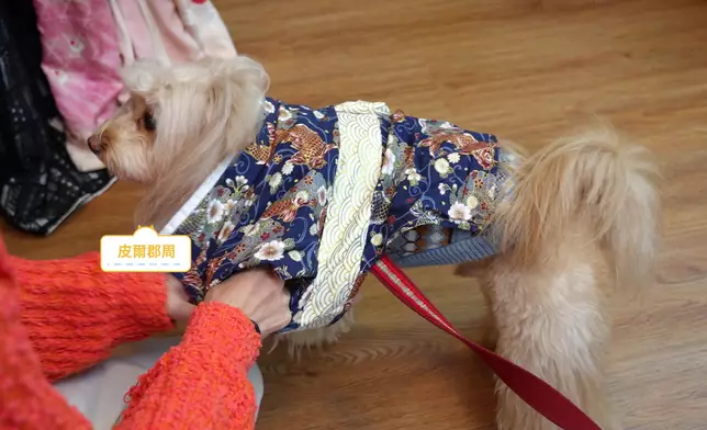 桃園神社有人同狗的和服出租服務。