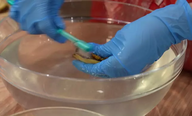 嘉欣細心洗刷鮑魚，引來幟哥開金口教路！