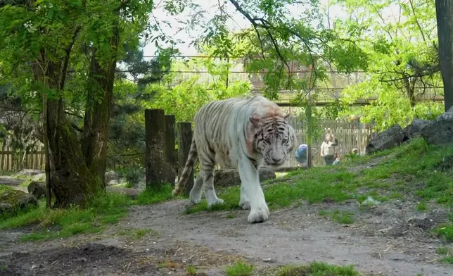 Christy參觀位於波爾多市中心嘅保育動物園。