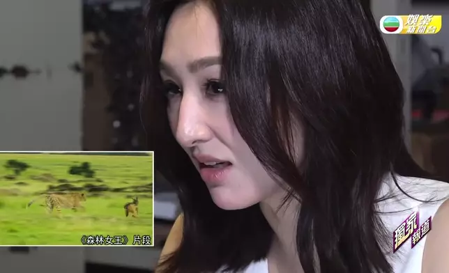 《森林女王》由劇集《新聞女王》班底演員傾情聲演。