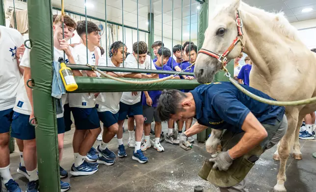 曼聯16歲以下青年隊昨日（8月6日）參觀馬會屯門公眾騎術學校，到訪馬房及觀賞馬術示範。