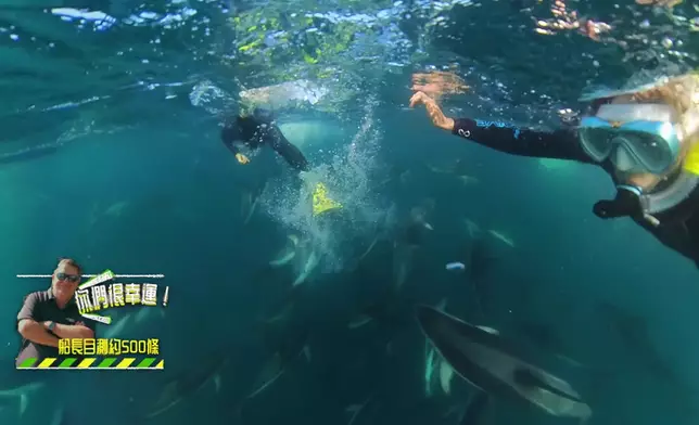 4名港女野人首度出海欣賞海豚。