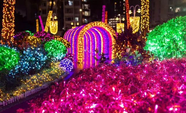 「韓」冬星光花圃。