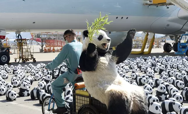 「PANDA GO!香港遊」FB圖片