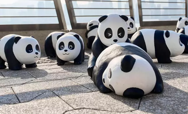 「PANDA GO! 香港遊」首站來到尖沙咀星光大道。香港旅發局FB圖片