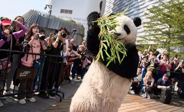 「PANDA GO! 香港遊」首站來到尖沙咀星光大道，這隻仿真大熊貓也是焦點之一。香港旅發局FB圖片