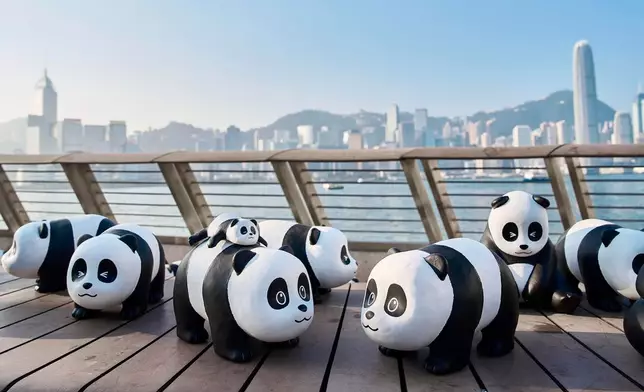 「PANDA GO! 香港遊」首站來到尖沙咀星光大道。香港旅發局FB圖片