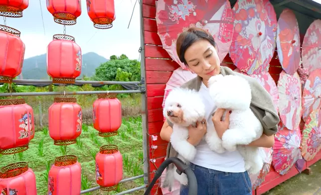 江美儀帶埋愛犬一齊影和服相，好有愛。