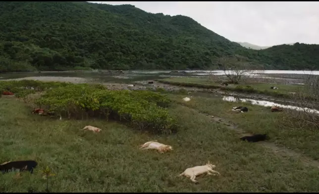 戲中泥灘救狗狗一幕獲網民高度討論。