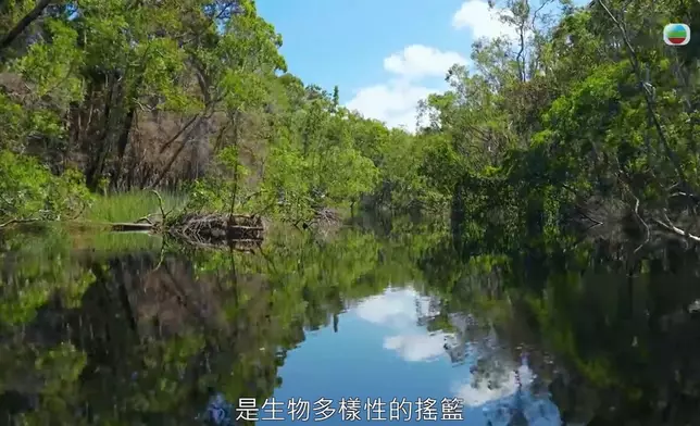 最後一集繼續美景放送。