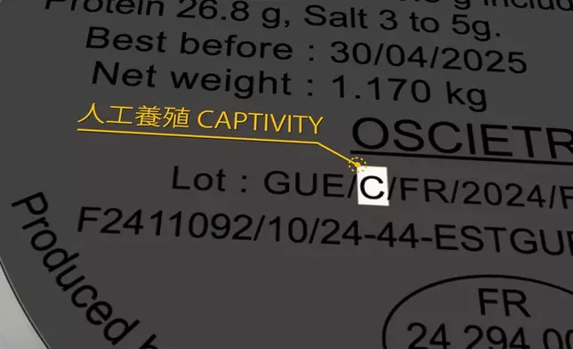 讀懂魚子醬罐底label，包不會買錯。