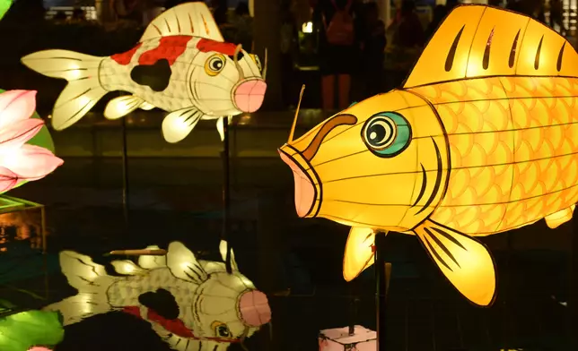 政府新聞處圖片