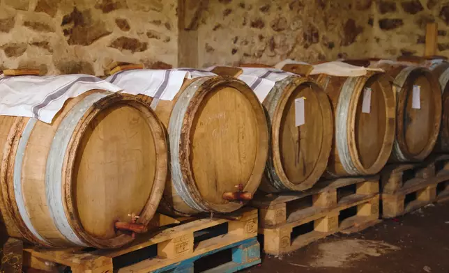 意大利Modena生產馳名的巴薩米克醋。