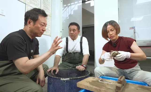 學點樣綁蟹。
